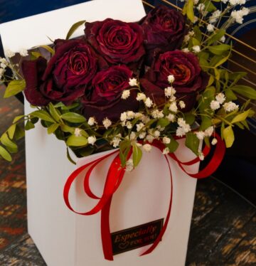 red roses in white ceramic vase